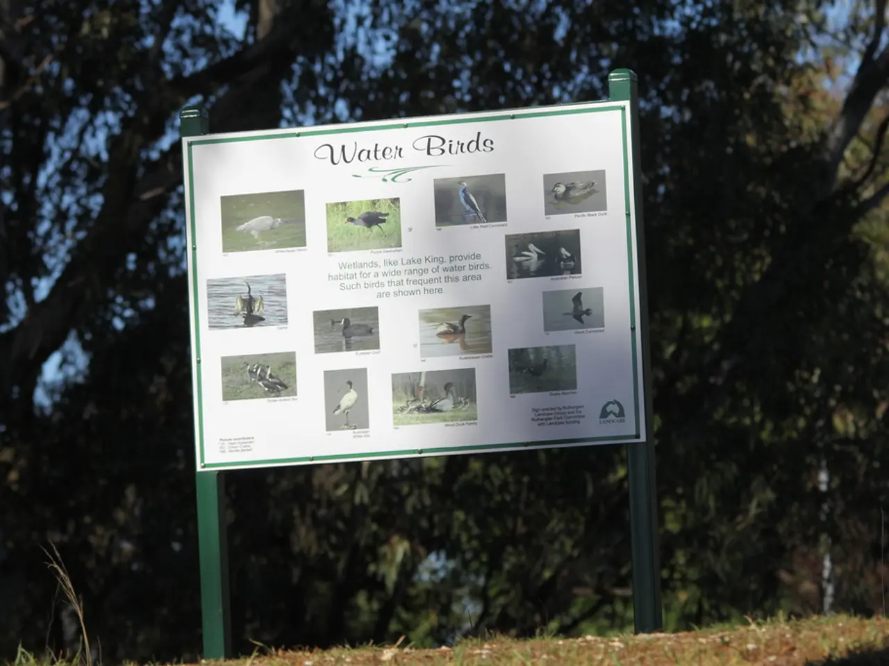 Global journey of two years dedicated to conservation, inspired by Darwin's work, ignites optimism...