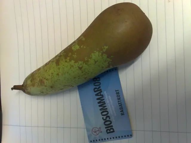 "State services" initiates university selection process for candidates