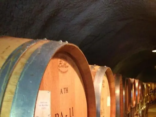 Europeans remain committed to continued dialogue with Iran