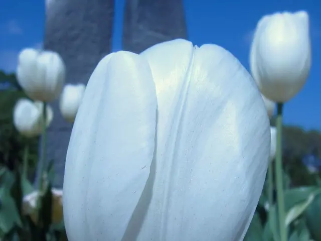 Carlton Marshes Wildlife Sanctuary and Tourist Information Hub