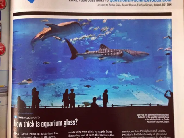 Celebrating the Native Communities of Sonoma County