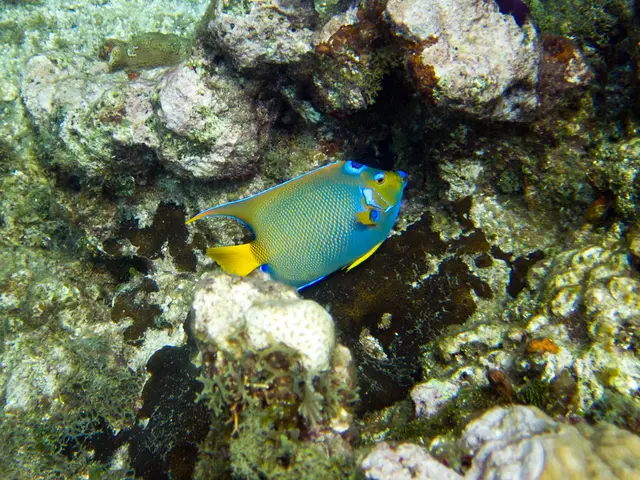 Stunning Photography Spots: French Polynesia