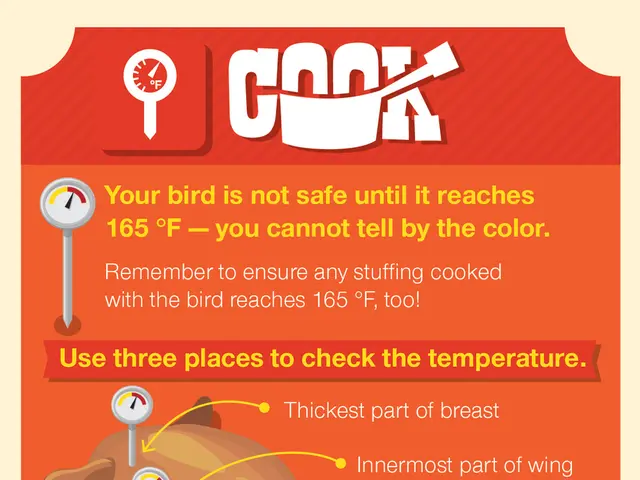 Guidelines for Raising Welsummer Chickens