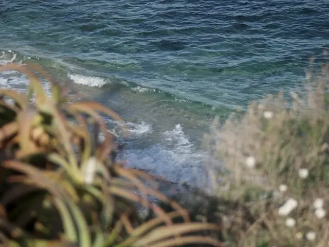 Study on Plant Development: Researchers Investigate Factors Affecting Plant Growth