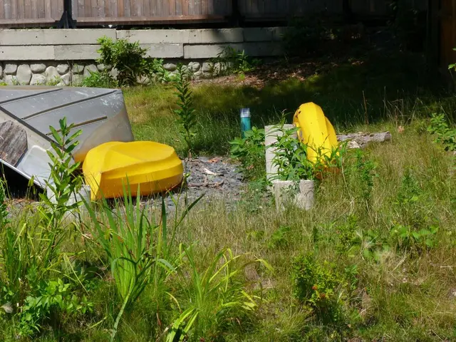 Discussion Highlights from the 2025 World Bank Land Conference: Ideas for Protecting Territories...