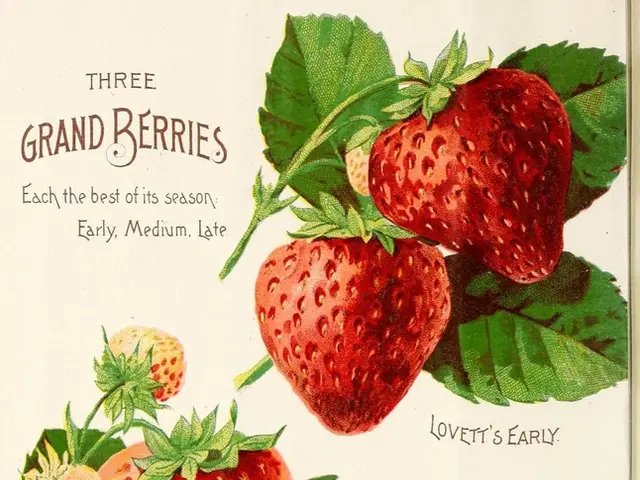 Haryana Board's HBSE Class 12th English Elective Syllabus for the academic years 2025-2026...