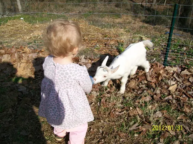 Bavaria consistently ends up with later summer vacations compared to other regions, and this is...