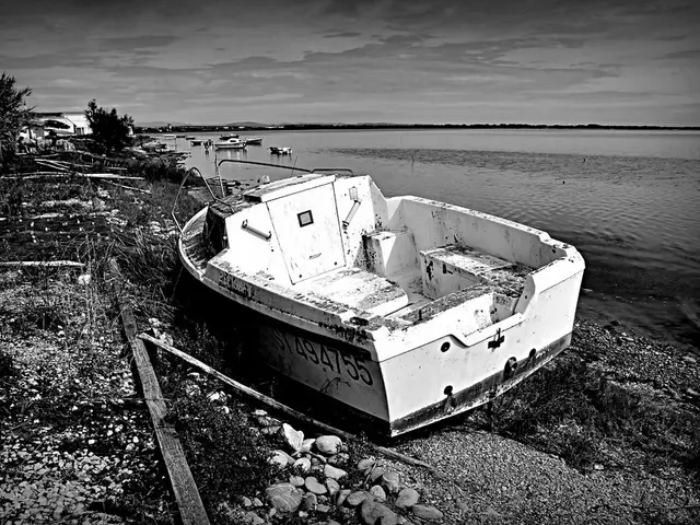 Hands-On Marine Life Adventure for Kids: Discover the Wonders of the Ocean with Interactive...