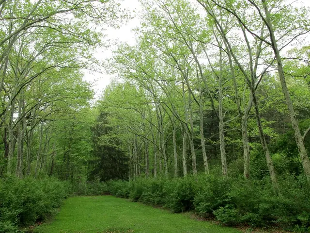 Balancing Conservation Efforts: Ensuring Equity for Biodiversity Preservation and Environmental...