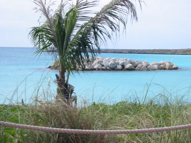 Exploring the Intricacies of Tanzanite Gemstone