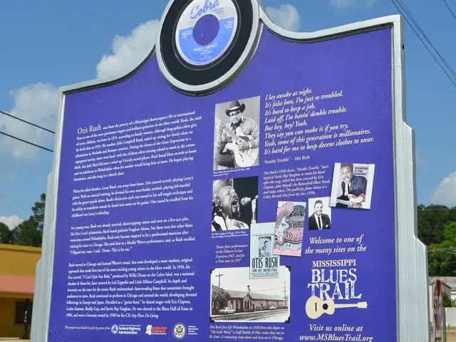 Top Network Security Options Worthy of Consideration for Head Security Officers in 2025