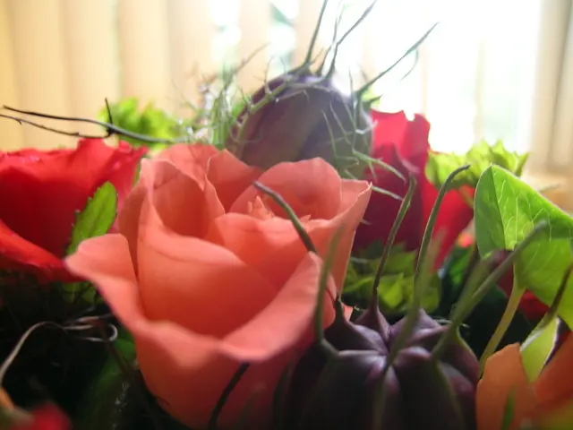 Understanding the Motivations behind Business Analytics Studies