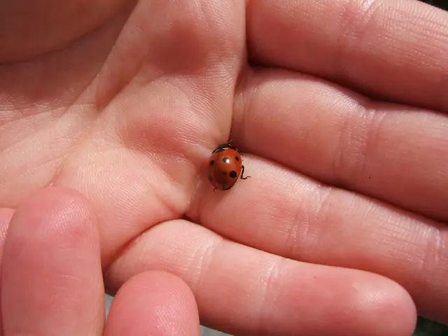 Gargoyleism: An Examination of This Abnormal Condition