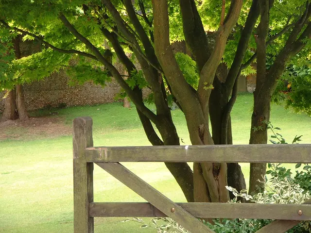 Strategies for fostering an eco-friendly corporate environment