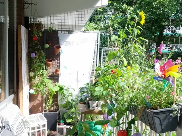 Daily Trivia Challenge: Liverpool and Literature, July 18, 2025