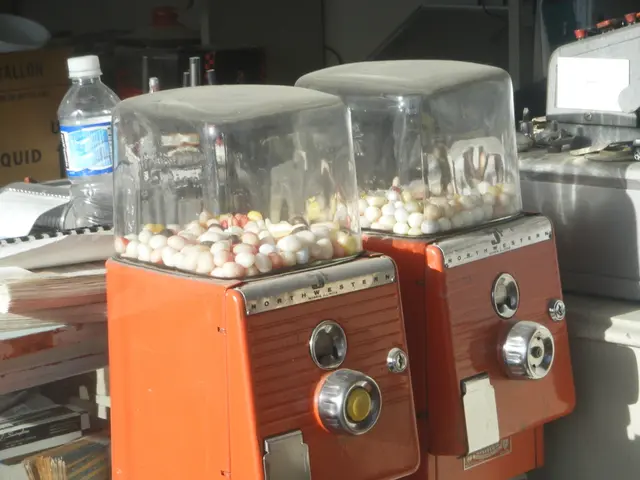 Exploring the Dissolution Process in Candy Cane College Project