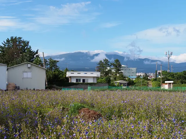 Climate Corps workers in America are laying the foundation for a fair and green future.