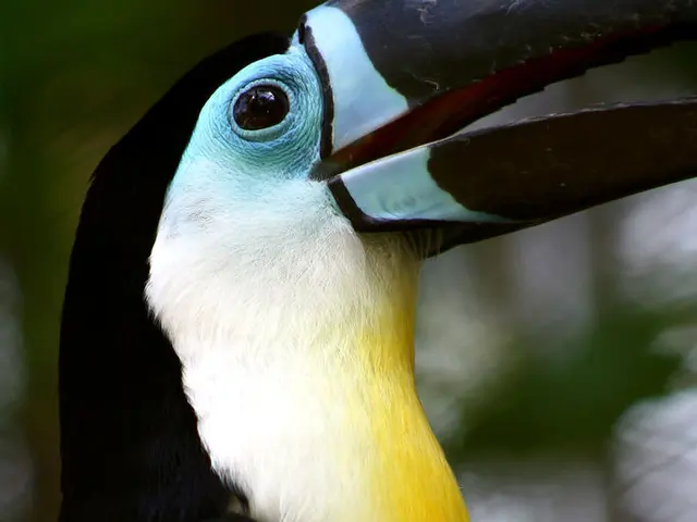 Exploring the Allure and Enigma of Dark-Hued Beasts: Symbolic Meanings, Survival Strategies, and...