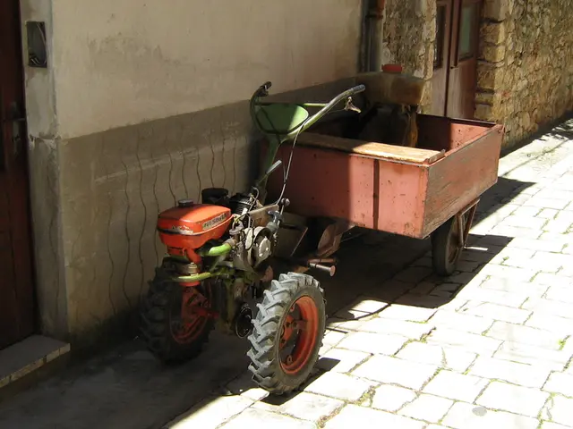 Details given for determining the assistance allocation: