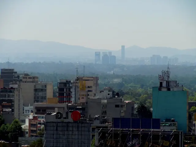 Peak Productivity Hours During Your Weekly Schedule