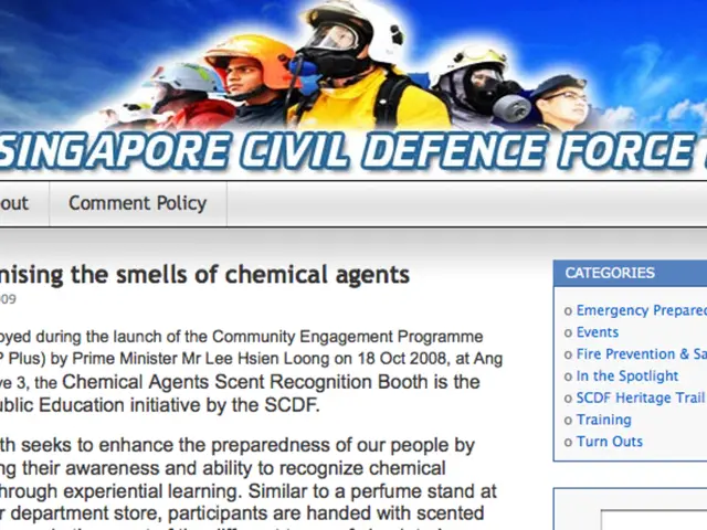 Beginning of the 2024-2025 Educational Period!