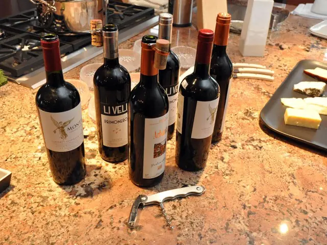 Croatia Embraces Role as Hub for Elite Culinary Learning