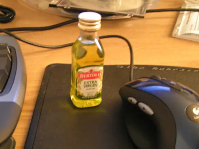 Enhancing Brain Flexibility: Strategies for a Stronger, More Adaptable Mind