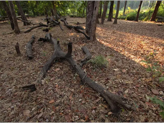 Instructions on Writing Literature Reviews