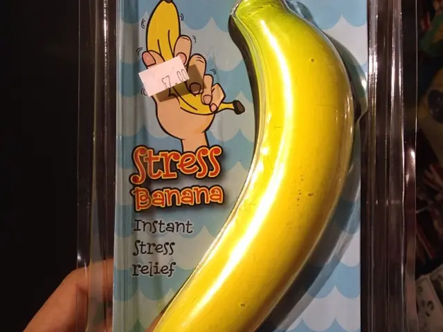 Establishing a Meditation Routine for Stress Reduction