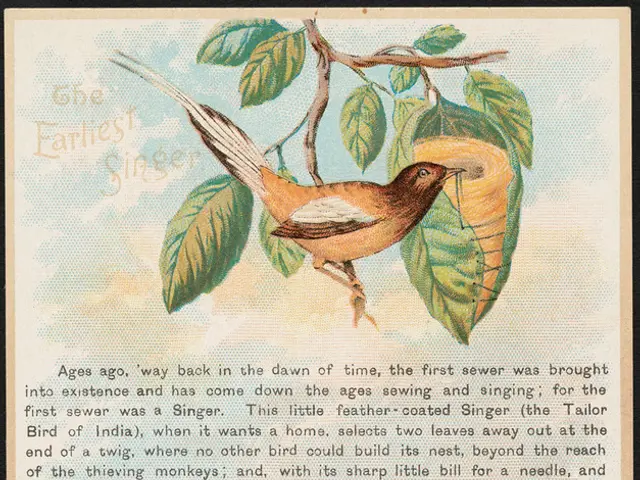 Embroidered Aviary Art by Deborah Campbell: Intricate Bird Designs on Coastal Scenes