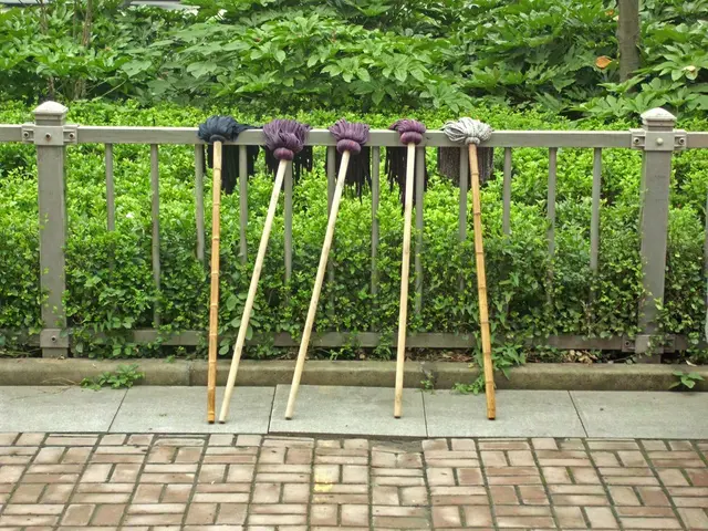 Unveiling The Crow's Nest - July 31, 2019 Update