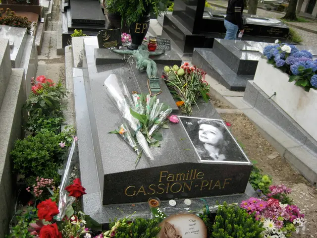 Toni Rae Oehler Kingsley, aged 81, passed away in July