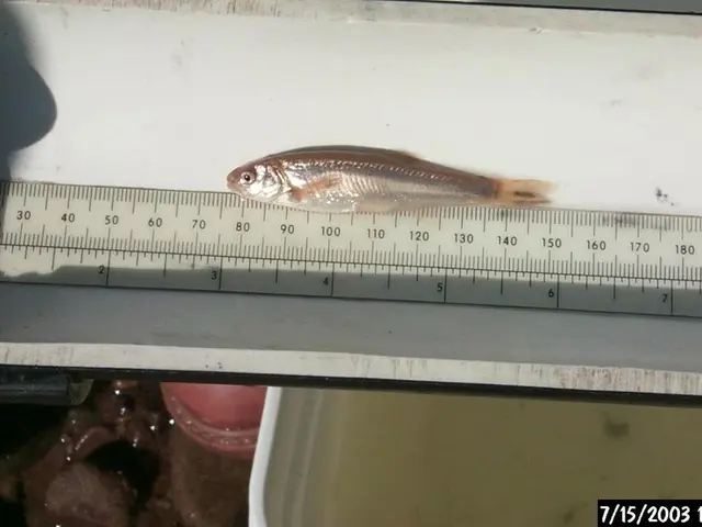 Analyzing Time Series Data for Predictive Market Trends in Econometrics