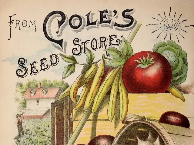 Community-driven scientific research and composting initiatives - CAPOW rehash