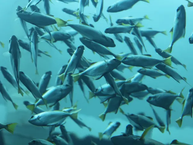 Swimming in the Bathing Lake: Who Else but Wels Takes a Dip?