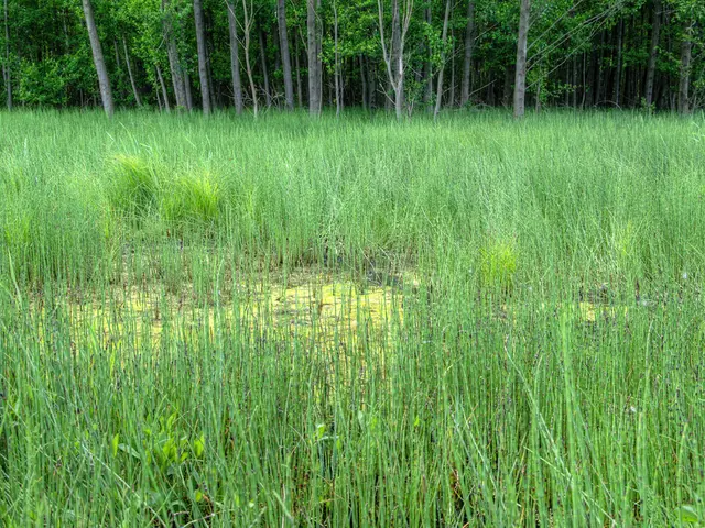 Seeking Exceptional Dissertations for the 2026 Max Eyth Award for Young Entrepreneurship