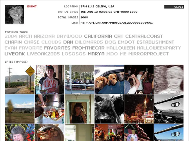 Illustrating the Power of Visual Aids for Educational Purposes: Infographics in Learning...