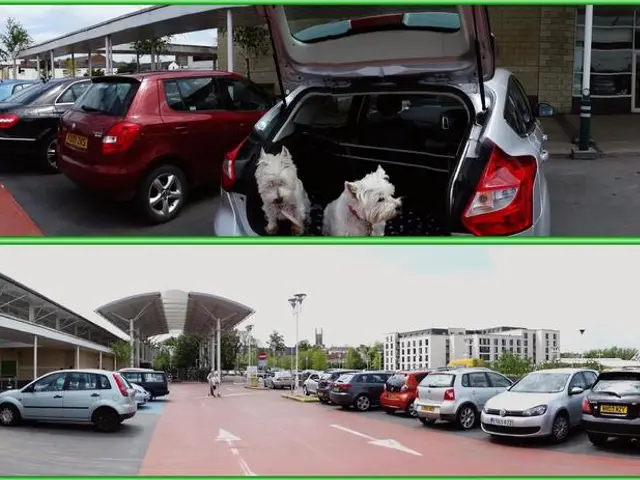 Honoring Sociologist Lionel Pourtau, a Devoted Scholar in His Field