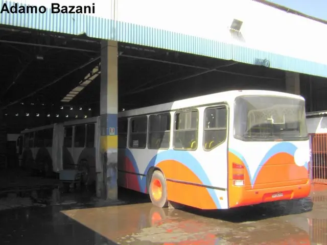 Navigating Internet of Things (IoT) Safety: Insights from the NSA and Our approaching Digital Era