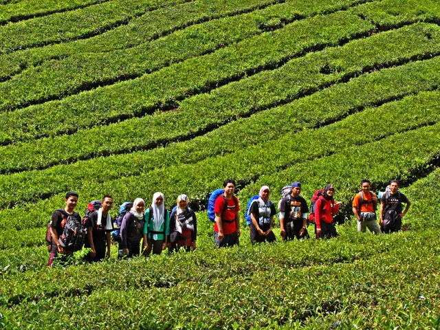 Enhancing the Legal Possessions of Rural Farmers