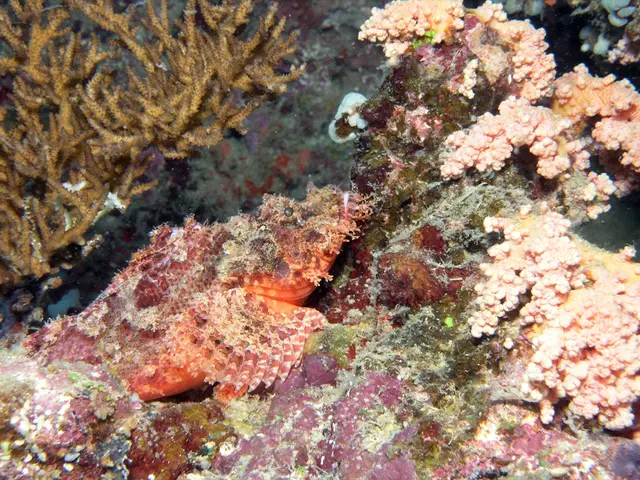 Beach-Flooding Macroalgae: Unveiling Potential Green Business Prospects