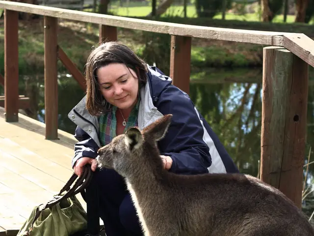 Engaging Lessons and Activities for Celebrating Indigenous Peoples Day at No Cost