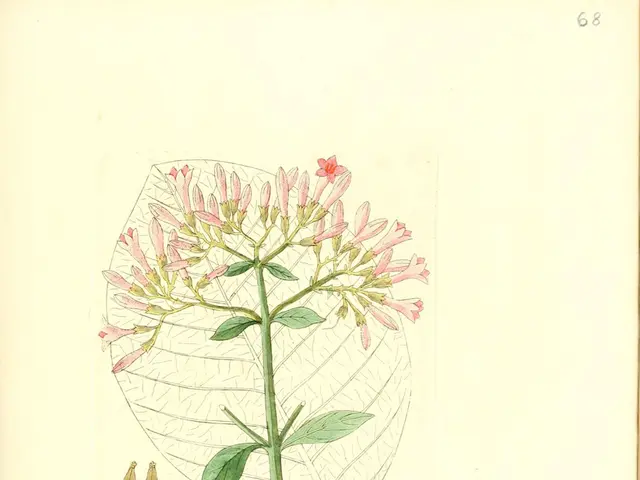 Harnessing the Power of Continuity: Fostering Positive Vibrations in Your Existence