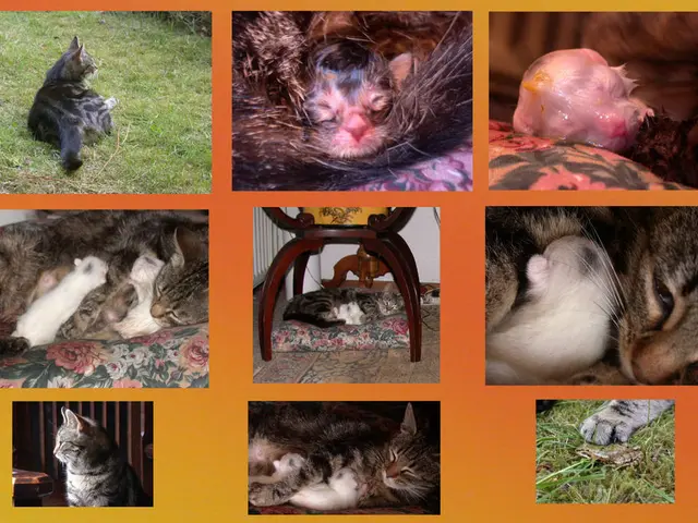 Biotechnology Advancement: First Animal Stem Cell Biobank in India Opens in Hyderabad, Introduction...