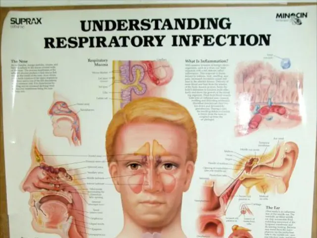 Personal Responsibility versus External Influence: An Examination of Self-Determination versus...