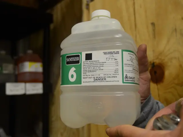 Bacterial Research Offers Fresh Perspectives on Human Decision Processes