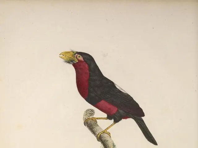 Uncovering 7 Creative Strategies for Engaging Nature Studies through Field Journals, Fostering Awe...