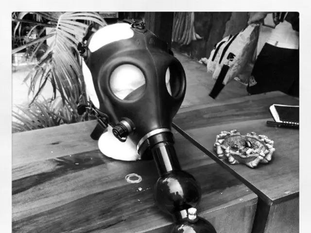 Essential Strategies for Wildlife Procuring in Survival Situations: Guidance for Everybody