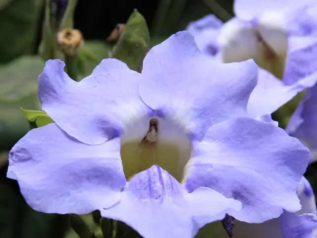 Jumpstart Your Day for Achievement Pursuit