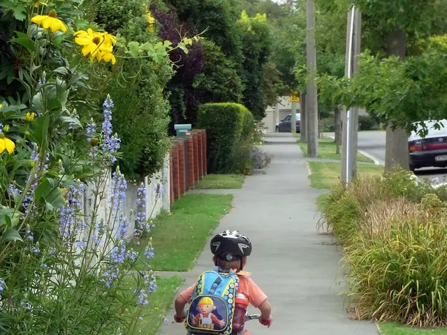 Proposal for a protective measure for youth in the wake of accidents urged by the Commission.